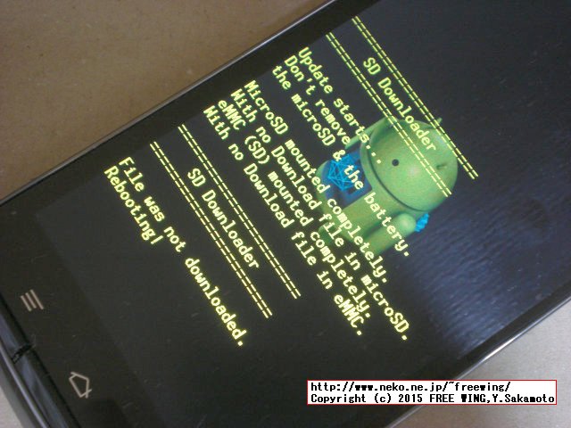 DOCOMO FMC ARROWS V F-04E