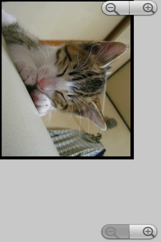 SimpleImageViewer 簡単画像表示 SimpleImageViewer 拡大縮小、ガンマ補正