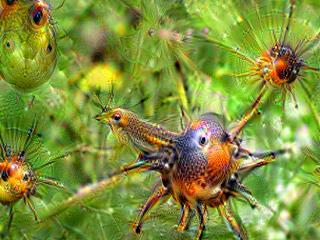 NVIDIA Jetson Nanoで Google DeepDreamを動かしてキモイ絵を量産する方法