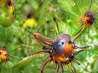 NVIDIA Jetson Nanoで Google DeepDreamを動かしてキモイ絵を量産する方法