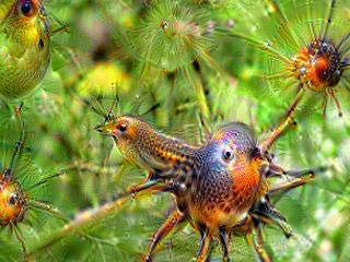 NVIDIA Jetson Nanoで Google DeepDreamを動かしてキモイ絵を量産する方法