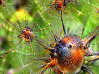 NVIDIA Jetson Nanoで Google DeepDream NVCaffeを動かしてキモイ絵を量産する方法