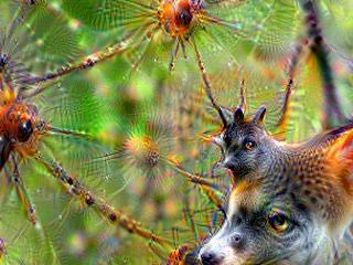 NVIDIA Jetson Nanoで Google DeepDream NVCaffeを動かしてキモイ絵を量産する方法