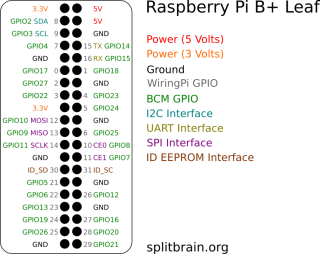 Raspberry Pi B+ Pinout Leaf