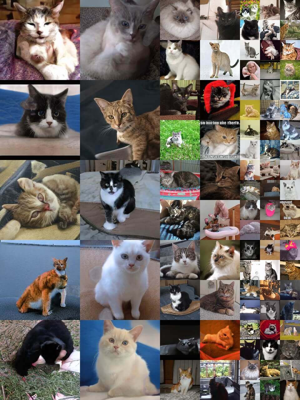 Jetson Nano StyleGAN TensorFlow 敵対的生成ネットワークで猫画像を生成