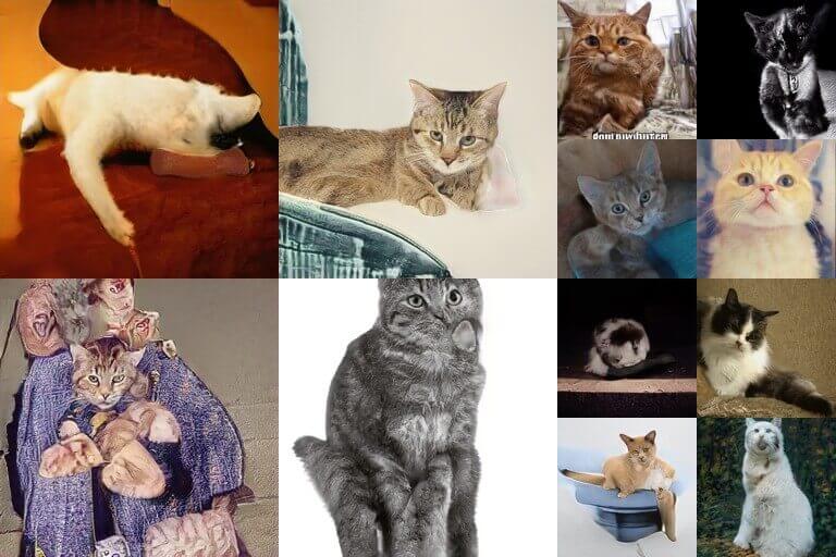 Jetson Nano StyleGAN TensorFlow 敵対的生成ネットワークで猫画像を生成