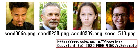 Generate curated ffhq images (matches paper Figure 11)