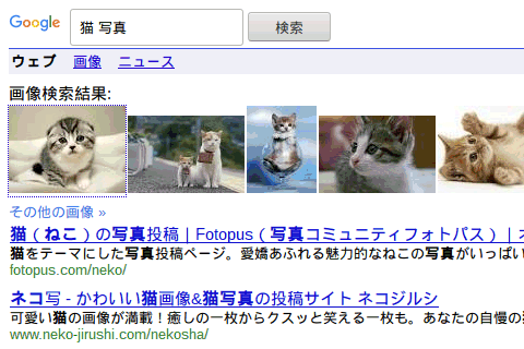 Selenium WebDriverの Ruby言語のサンプル 出力結果