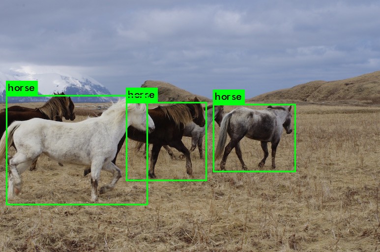 predictions_horses_v2.jpg