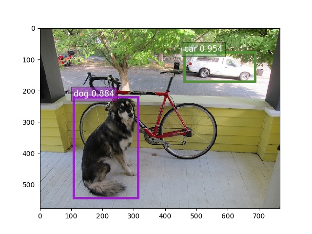 MobileNet 512x512 dog.jpg