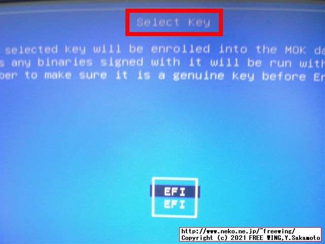 Select keyの青い画面になるので EFIを選んで Enterを押す（複数有る場合は上から順番に選ぶ）
