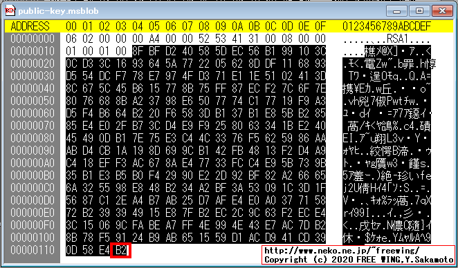 Windowsの RSA暗号で使用する PUBLICKEYBLOBと OpenSSLの DER形式の関係