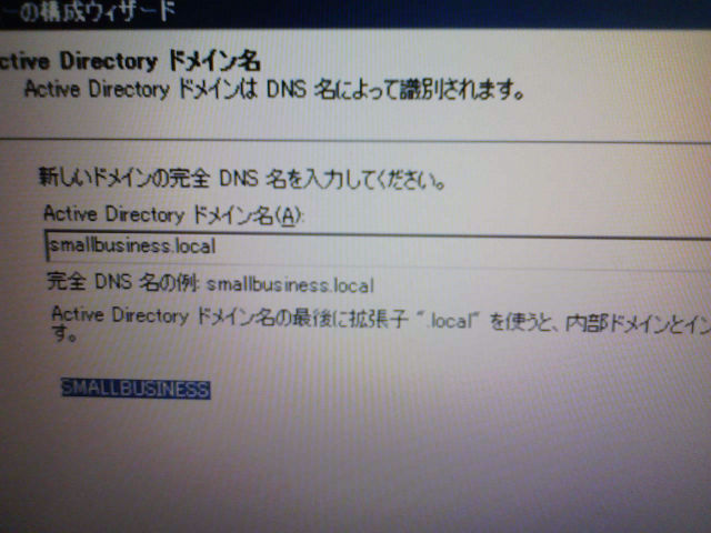 'smallbusiness.local'、'SMALLBUSINESS'