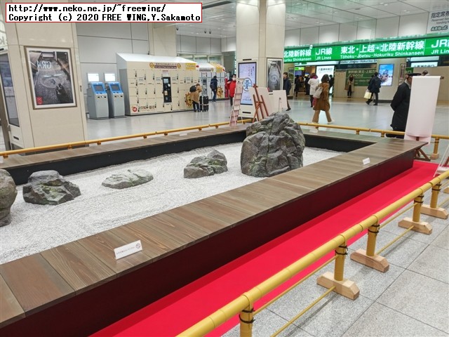 京都 龍虎の庭