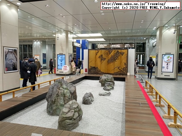 京都 龍虎の庭
