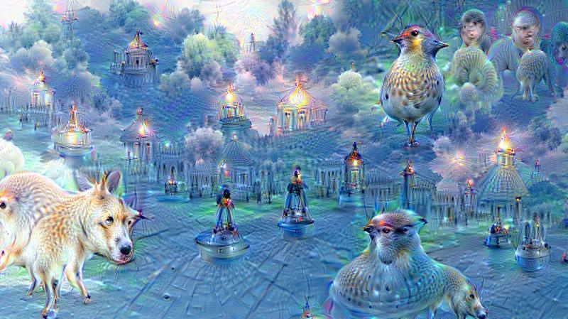 第５世代