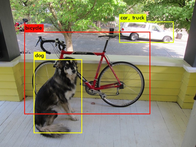 predictions_dog_v2.jpg