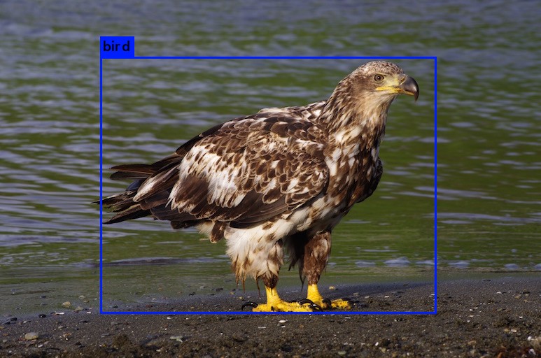 predictions_eaglev2.jpg