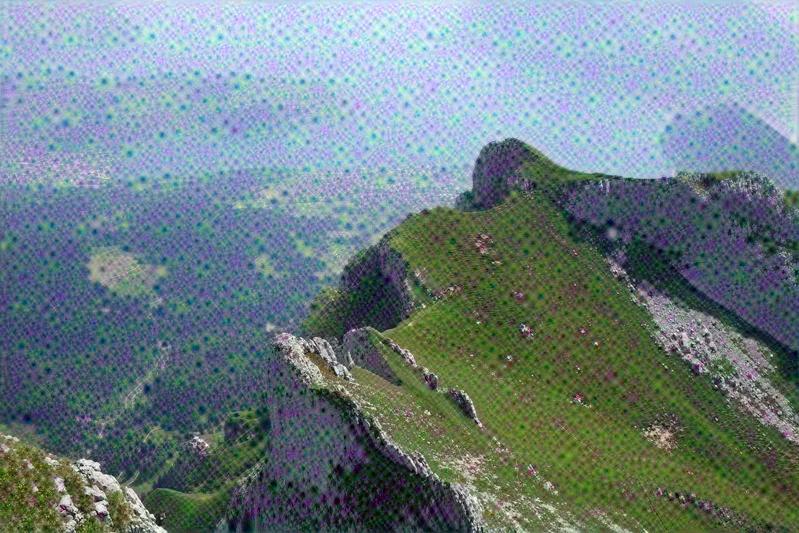 deep_dreaming.py