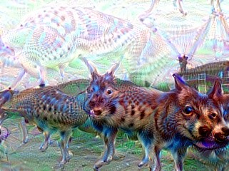 nature_image_tf.jpg