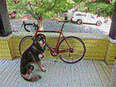dog_jnet-conv_11_000000.jpg