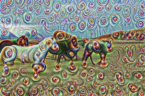 horses_jnet-conv_11_000002.jpg