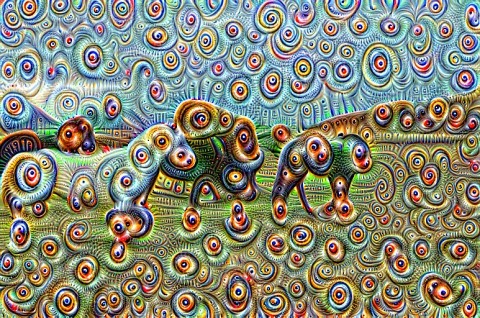 horses_jnet-conv_11_000003.jpg
