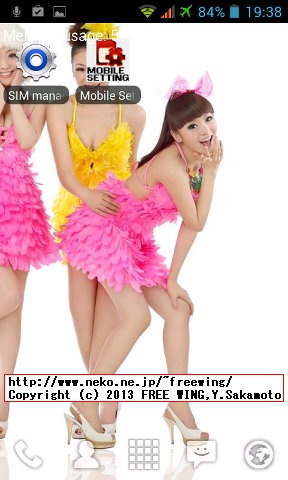 iHD S3 MINI I8190(S9920)