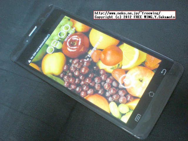 Fastcardtech JIAYU G3 佳域G3 China Android Mobile Phone