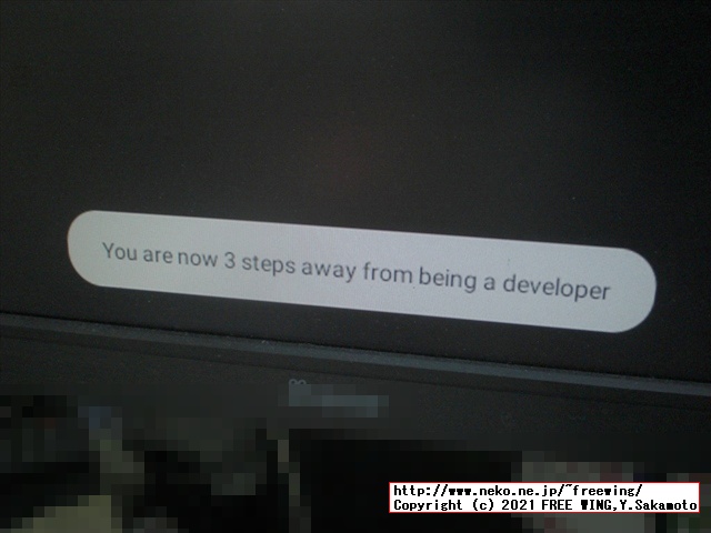 低価格の Android TV BOX HK1 LITE Android 9.0を買ってみたのでレビュー