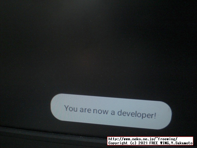 低価格の Android TV BOX HK1 LITE Android 9.0を買ってみたのでレビュー