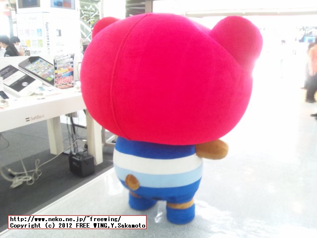 くーまん 着ぐるみ イベント