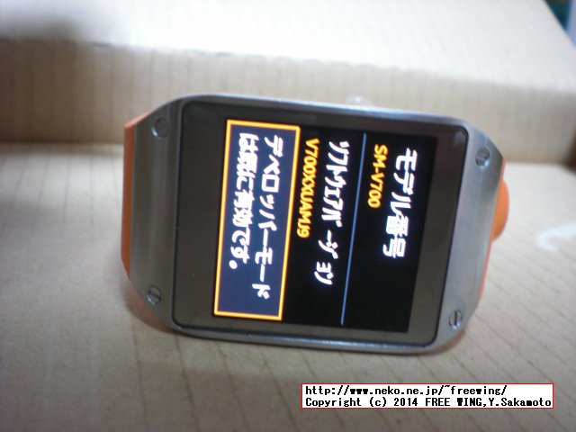 SAMSUNG GALAXY Gear smart watch
