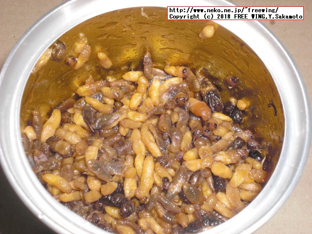 蜂の子 花九曜煮