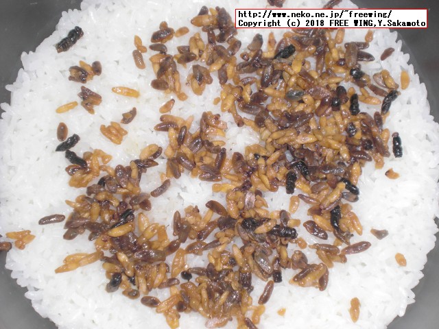 蜂の子 花九曜煮