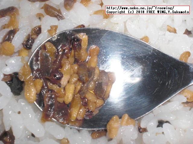 蜂の子 花九曜煮