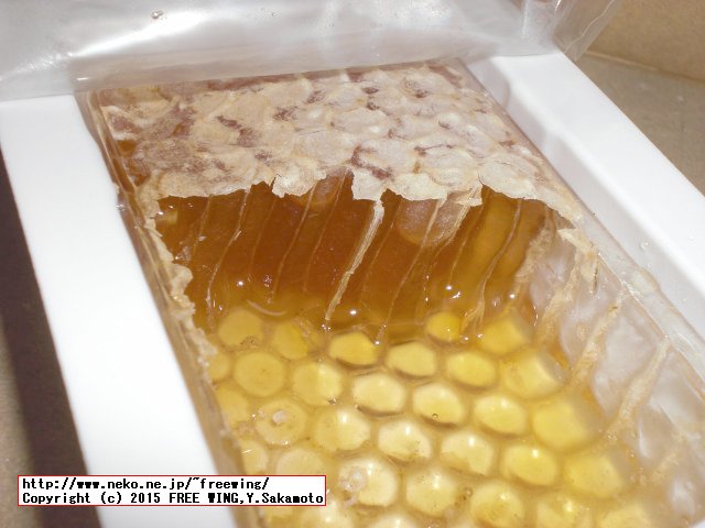 蜂屋の国産巣蜜の写真
