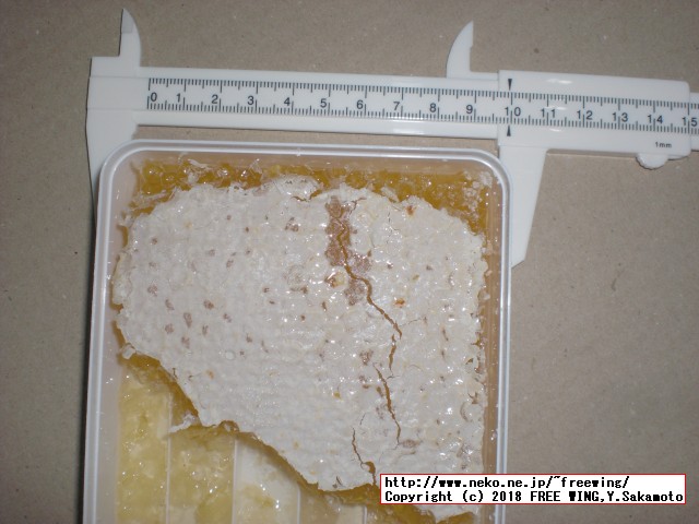 ハンガリー産の外国産の巣蜜の写真