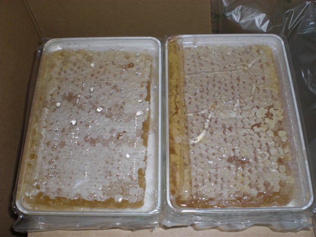 ハンガリー産 「ゴールデンネクター」ブランドの巣蜜の写真