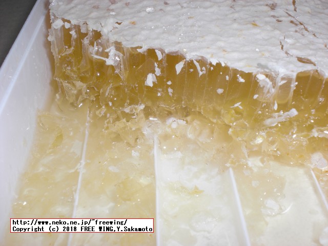 ハンガリー産の外国産の巣蜜の写真