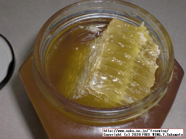 2020年 外国産の巣蜜（コムハ二ー、蜂の巣）をアマゾンの通信販売で買ってみた
