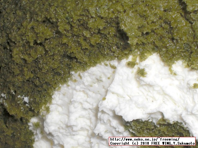 美味しいロールケーキ ARINCOロールケーキ専門店 アリンコ 定番の「抹茶ロール」