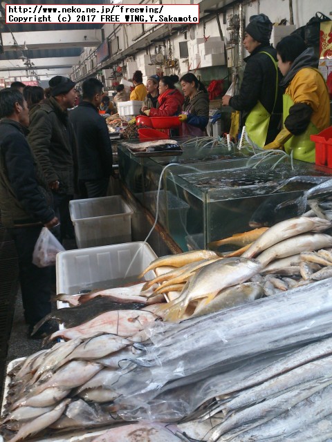 中国のダイナミックな食事情を写真で紹介