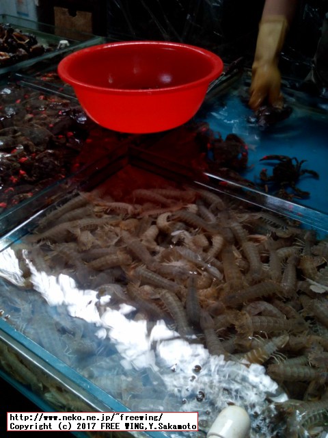 中国のダイナミックな食事情を写真で紹介