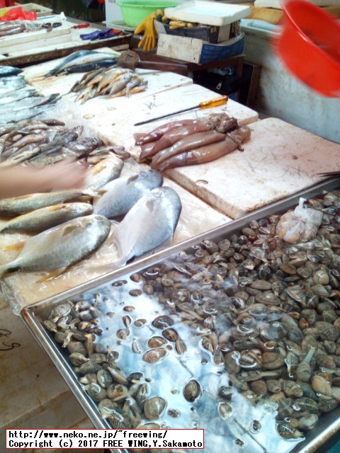 中国のダイナミックな食事情を写真で紹介