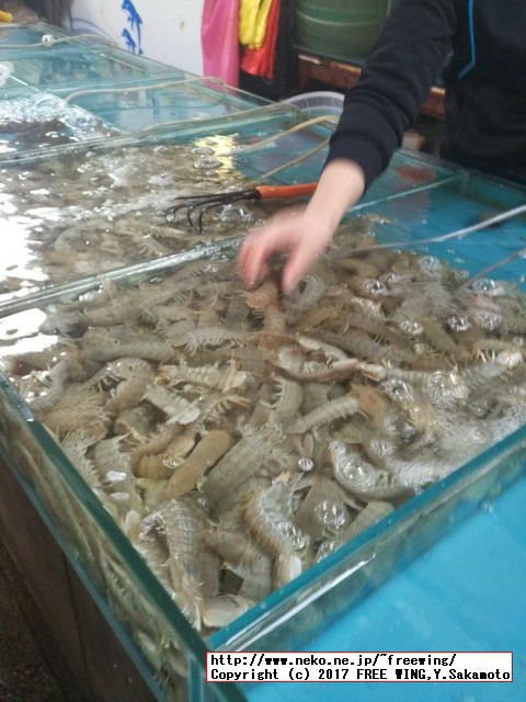 中国のダイナミックな食事情を写真で紹介