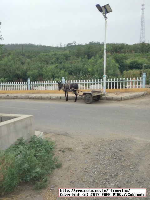中国で見つけた変な日本語が書かれた商品を紹介