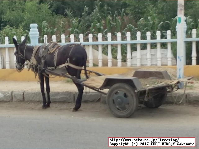 中国で見つけた変な日本語が書かれた商品を紹介