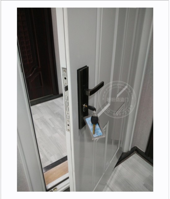 中国で防犯扉として有名な盼盼公司（PanPan）ブランドの扉の写真