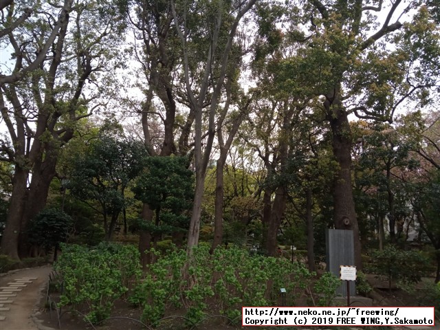 草月会館 草月ホール隣の高橋是清翁記念公園